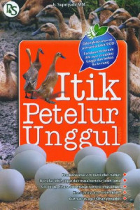 Itik Petelur Unggas